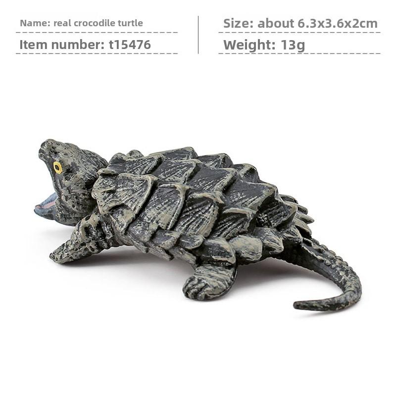 Aquatic Reptile Tortoise Pvc Model Set With Realistic Detailing For Educational Collection
