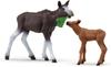 Schleich Wildlife Elk and Baby 42603