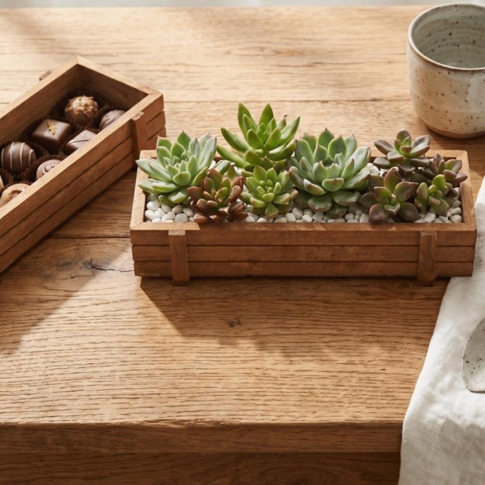 2PCS Wood Wooden Planter Box Easy To Place Rectangular Succulent Planter Compact Antique Color Indoor Outdoor Planter