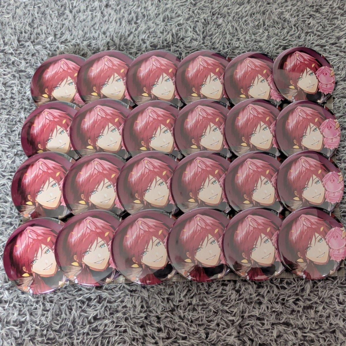 Used Lauren Iroas Birthday Goods 2024 Tin Badges 24 pieces