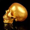 Resin Craft Skull Statues for Decoration Creative Skull Model Sculpture Home Decoration Halloween Party Decor Horror Props