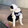 Autumn/Winter Warm Blue Cat Vest for Hairless Cats and Kittens