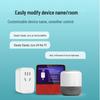 Xiaodu AI Voice Smart Plug
