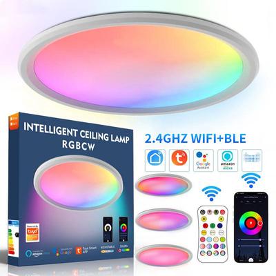 Smart Ceiling Light LED Living Room Wifi Bluetooth 2.4G Remote Control Rgbcw Dimming Color Tone Voice