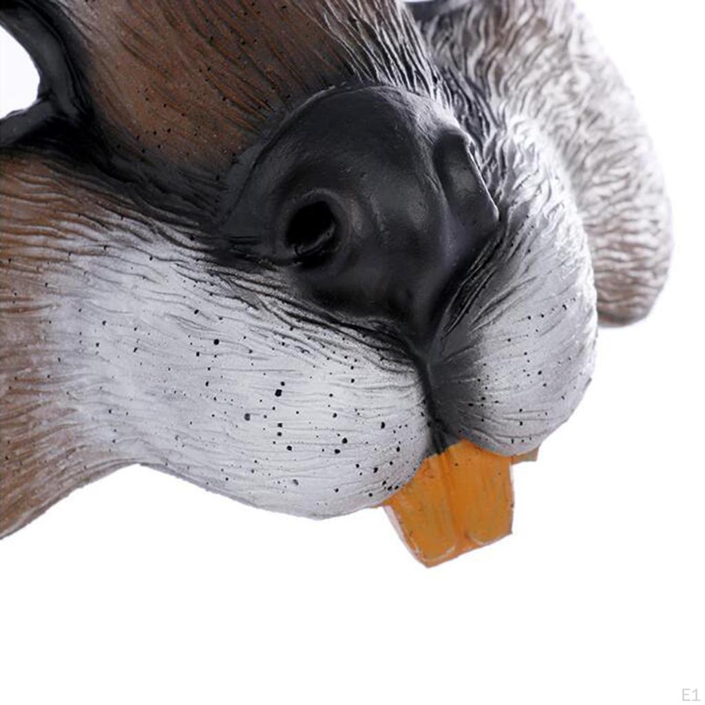 Lebensechte Eichhörnchenmaske Tier Cosplay Halbgesichtsmaske Halloween-Party für die Bühne