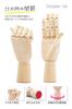 October1st Drawing Doll Model Doll Wooden Doll Hand Right Hand Mannequin Articulated Art Interior Accessory Stand of Drawing Practice Movable 1 1 Hand