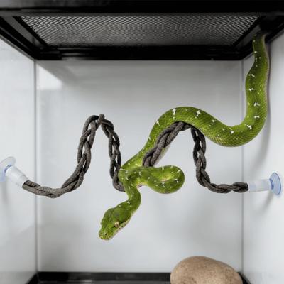 Simulated Tree Vine Lizard Hammock Suction Cup Reptile Vines Toys Snake Climbing Rope Toy  Vivarium