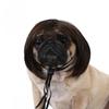 Pet Wig Dog Wig Pet Supplies Halloween Pet Accessories Curly Hair Straight Hair Cat Wig It Can Be DIY Trimmed