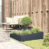 Garden Planter Anthracite 100 X 100 X 50 Cm