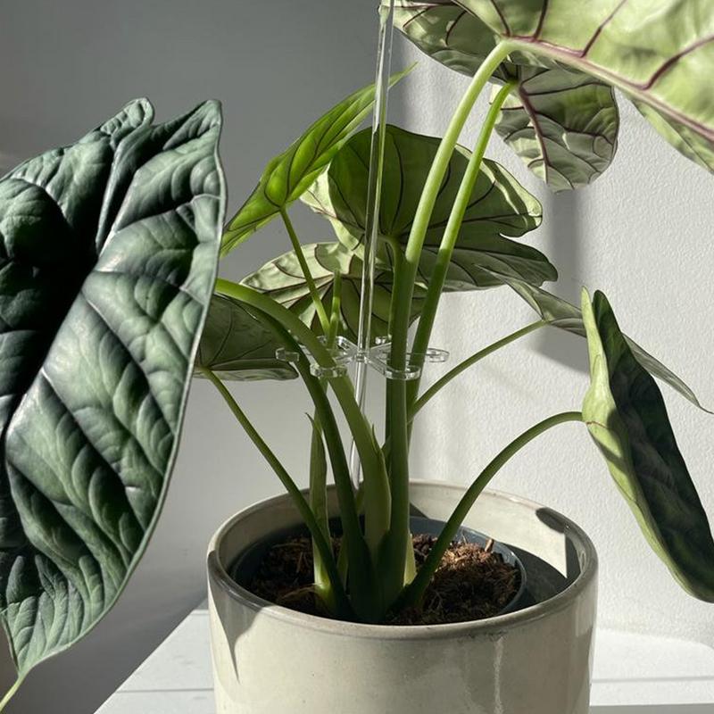 Plant Stem Hook With Stake Holder Clear Acrylic Plant Holder Hook Climbing Plant Support Clips for Orchid Rose Flowers