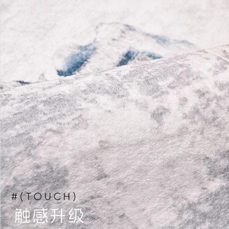 Nordic Style Carpets for Living Room Light Luxury Bedroom Decor Plush Carpet Fluffy Soft Cloakroom Rug Washable Thick Floor Mat