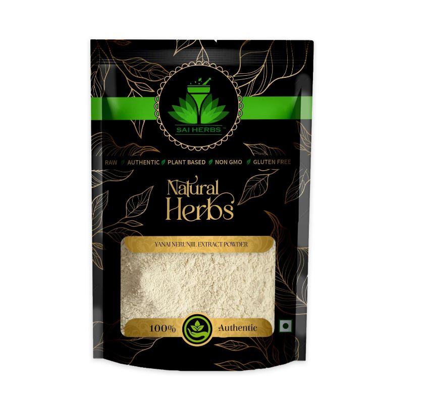 SAI HERBS Yanai Nerunjil Extract Powder - Dried Large Caltrops Extract Powder (100 g)