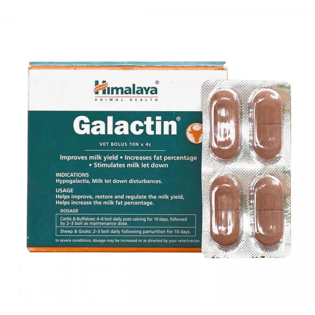 Galactin (40 Tab), Galactin, Himalaya
