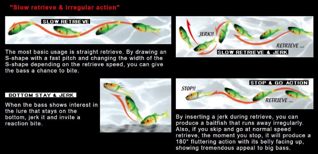 Gan Craft Song 115 Floating Jointed Lure 10 (4203)