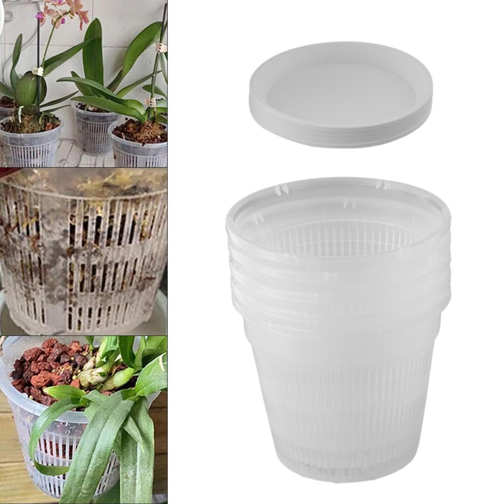 Catch Excess Water Drainage Holes Matching Saucer Multiple Uses Clear Plastic Pots Guides Root Growth Internal Air Circulation