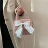 Autumn and winter new temperament fashionable plush texture simple travel small square portable bow small bag female tide