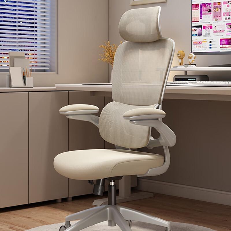 Youshu Ergonomic Office Computer Chair