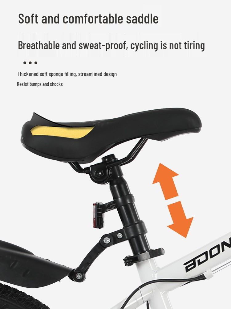 21-Speed Mountain Bike, 20-22 Inch, Dual Disc Brakes, Shock-Absorbing, Unisex Teen Road & Off-Road