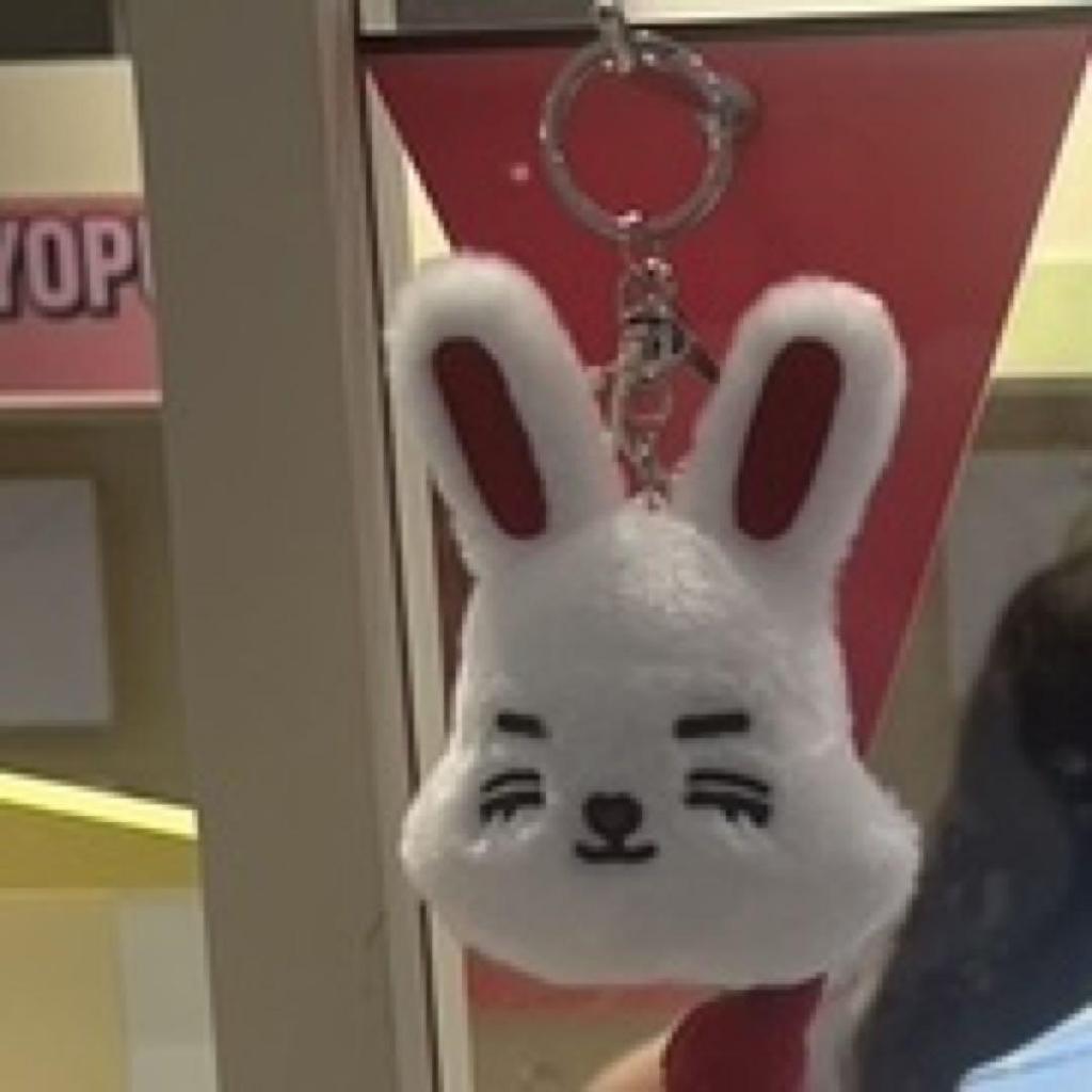 [USED] MINITEEN Pop-up Face Keyring S.X.P. Seventeen