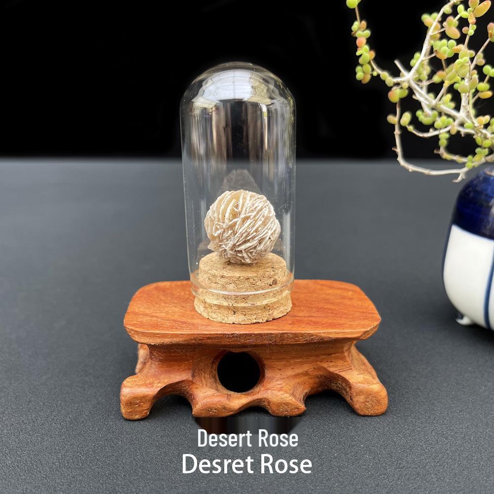 Natural Raw Stone Gemstone Mineral Crystal Ornament for Student Science Exploration Collection