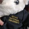 [USED] Extremely Rare Seoul National University Graduation Commemorative Teddy Bear