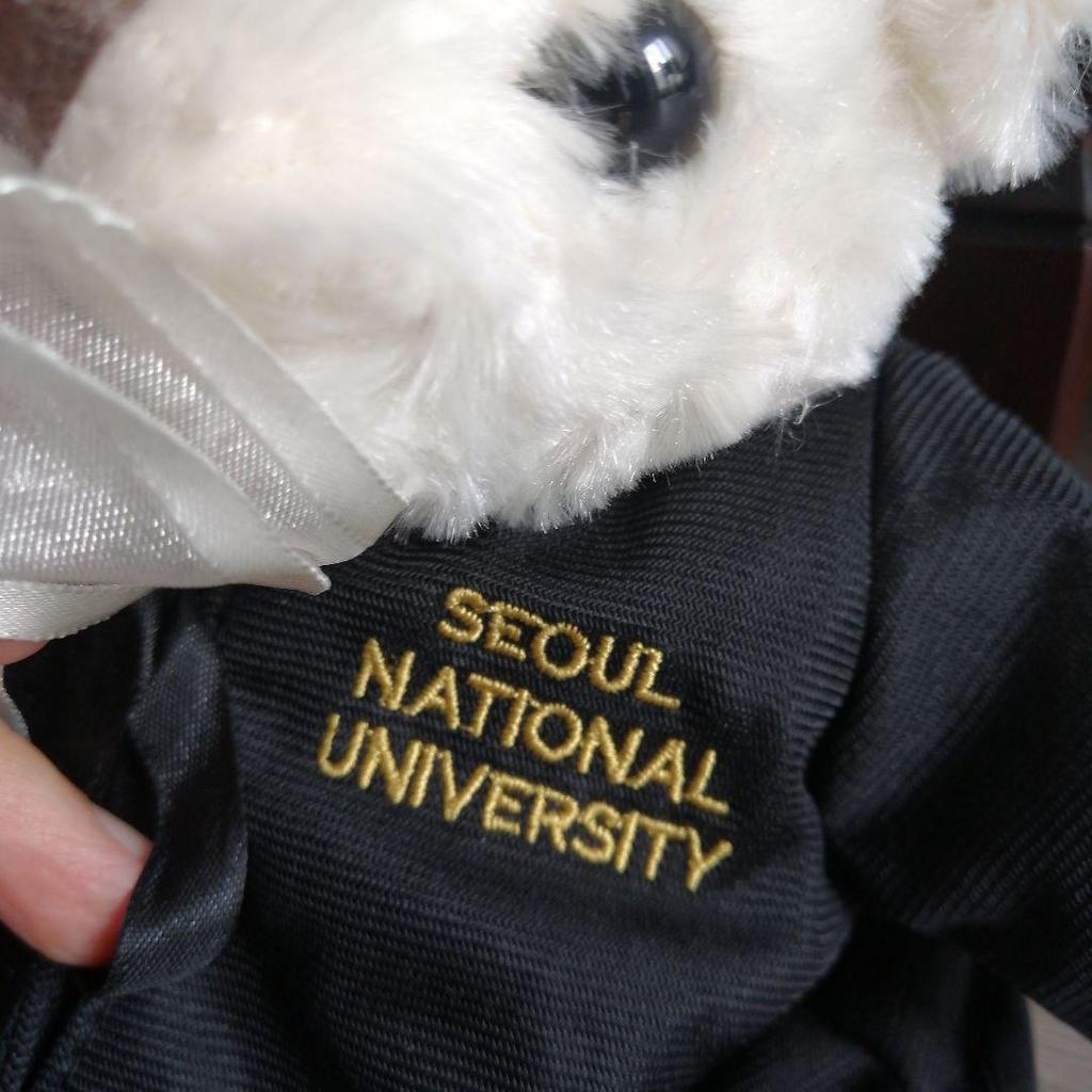 [USED] Extremely Rare Seoul National University Graduation Commemorative Teddy Bear