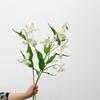 Long Branch Simulation Silk Flowers Realistic Faux Flower Luxury Fake Iris Stem  Party Decor