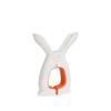 Clip Multifunctional Windproof Clothespin Balcony Nonslip Quilt Blanket Clip Duvet Clips Duvet Sheet Fixe