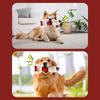 Christmas Dogs Toy Bites-Resist Stuffed Toy Funny Interactive Elasticity Dogs Chew Toy for Outdoor Dogs Tooth Molar Tool