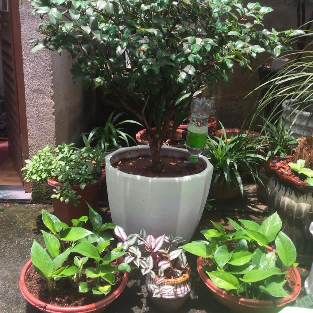 Automatic Watering Spikes Home Garden Flower Pot Self-watering Irrigation