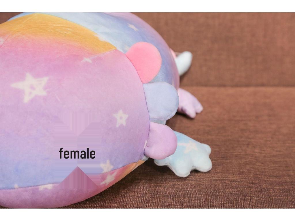 Plush Hexagonal Soft Salamander & Dinosaur Fish Throw Pillow Doll