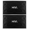 HiVi X1000 10-inch KTV Karaoke Speaker System CN Plug (adapter Included)