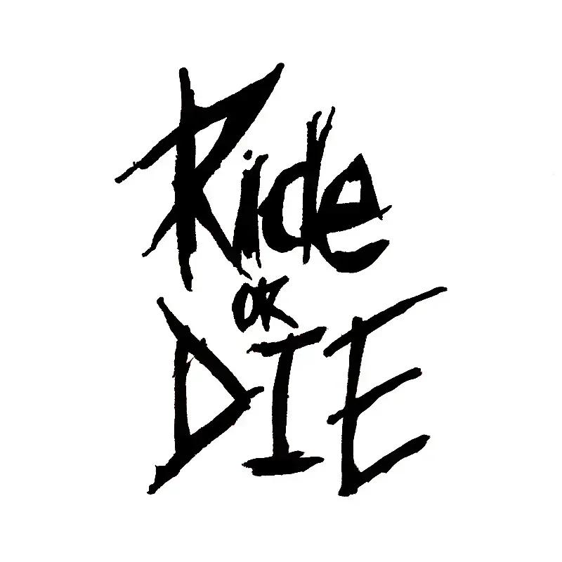 

MTB Bike Frame Sticker Ride or Die Top Tube Sticker Bicycle Decals Decorative Frame Stickers Bike Stickers Bike Decal чёрный