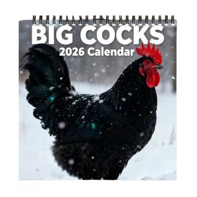 2026 Rolig Tuppkalender Stora Tuppord Månadsväggkalender med Humoristiska Fågelfoton Tjockt Papper Spiralbindning Kontorsskämt Gåva