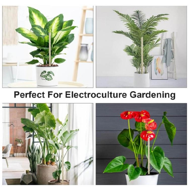 Fibonaccis Coil Winding Jig for Electroculture Gardening Copper Wire Antenna Jig