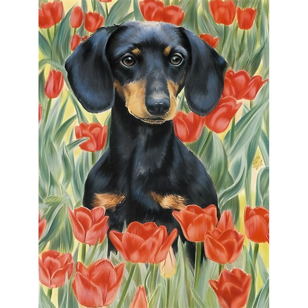 

Такса 5D Набори для алмазної мозаїки Затишна Мила Собака-Вихованець Мистецтво Мозаїчний Портрет DIY Алмазна Вишивка Кімната Різдвяний Домашній Декор Ремесло Round 50x70cm