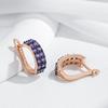 Shiny Purple Natural Zircon English Earrings For Women  Rose Gold And Black Gold Plating Wedding Vintage Jewelry