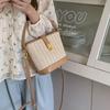 Koreanischer Ins Lässiger Gewebter Stroh Gewebter Beutel Damen Neuer Urlaubsstil Modische Handheld Crossbody Bag Eimerbeutel
