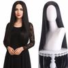 100cm Anime Cosplay Wigs Centre Parting Straight Hairpiece Long Straight Cosplay Wig  Party