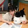 Creative Soft Animal Flip Husky Doll Plush Toy Transforms into Cat Doll Children's Soothing Ragdoll