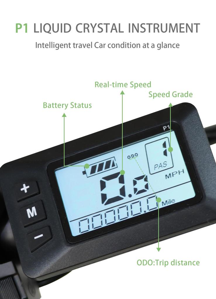 BAOLUJIE DZ2031 Electric Bike 20*4.0" Fat Tire, 500W Motor 48V 13Ah Battery 35-45km Range 40km/h Max Speed Mechanical Disc Brake