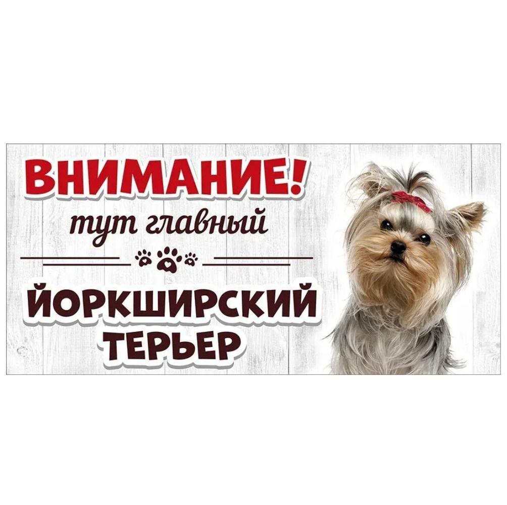 Evil Pomeranian Spitz Sign, Metal Fence Door Plaque 30x15cm