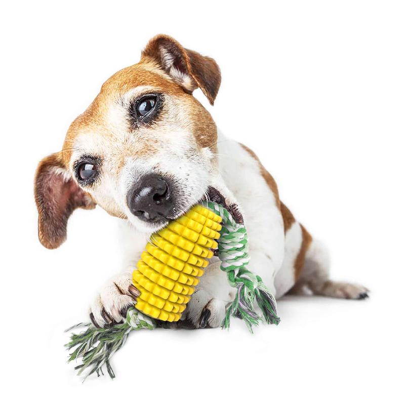 2PCS Pet Supplies Hundespielzeug Beißstäbchen Kaubare Zähne Reinigung Knochen Zahnbürste Mais mit Schnur