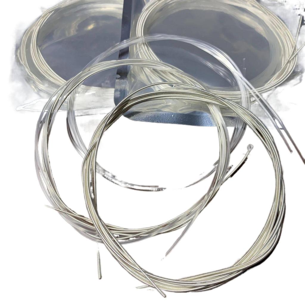Classical Nylon Guitar Strings in Foil Bags with Cases