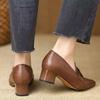 Thick heel pointed head deep mouth single shoes women's 2025 autumn new comfortable soft leather medium heel small leather shoes fashionable versatil