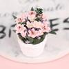 Different Styles 1:12 Dollhouse Miniature Flowers Mini Potted Plant Flower Pot DollHouse Decor Bonsai Model Garden Home Ornament