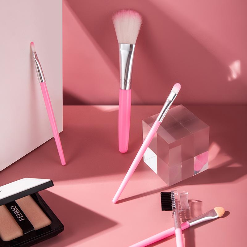 Pink 5-Piece Makeup Brush Set: Portable Brushes for Blush, Foundation, Eyeshadow, and Eyebrows