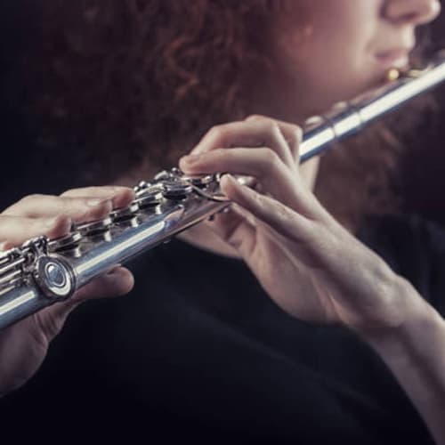 BQKOZFIN 16-Hole Woodwind Flute in C Key, Beginner Set with E-Mechanism, Nickel-Plated Cupronickel, for Brass Band Practice, Suitable for Beginners, A