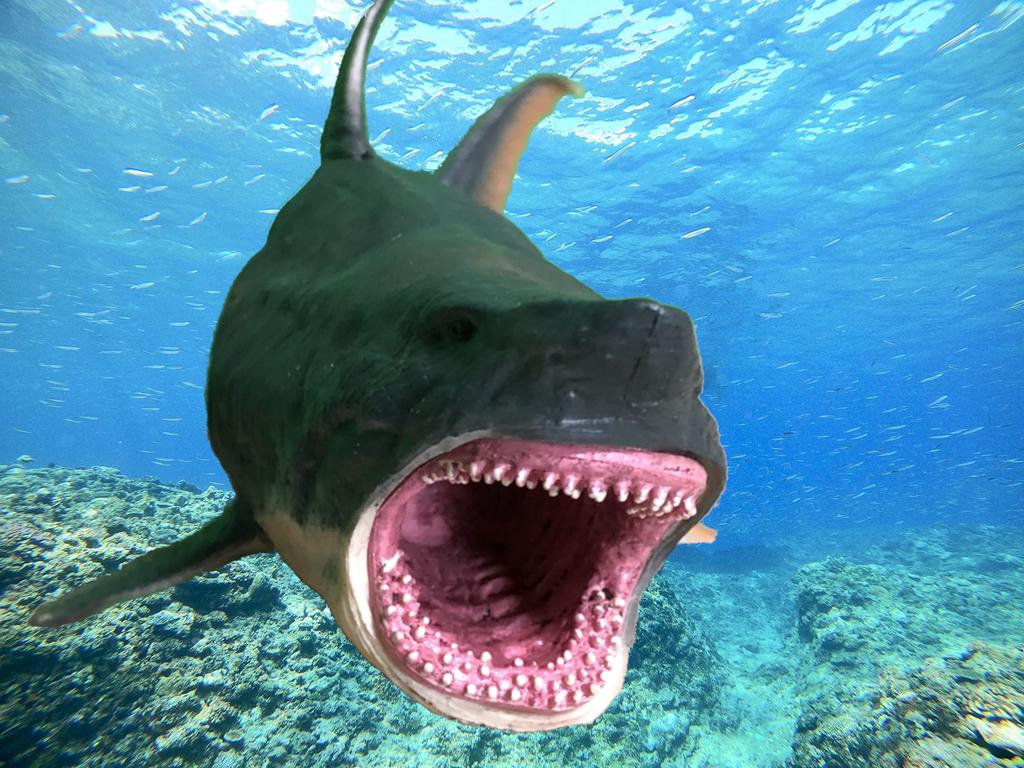 Crop Ancient Fish Figure Megalodon Impressive Size 25cm Long Dinosaur Model (Megalodon)