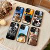 Cute Cool Sunglasses Cat Phone Case For iPhone 17,16,15,14,13,12,Plus,Pro,Max for Magsafe Magnetic Wireless Charging